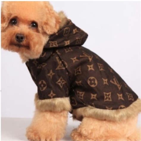 lv for dogs|www.dogs.lv.